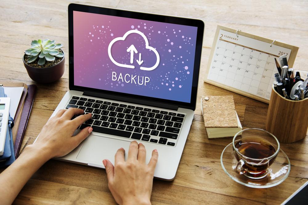 Essential Guide: Backing Up Your Website with Your Host