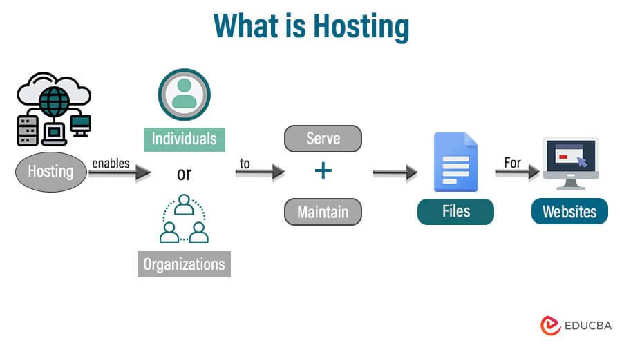How Hosting Software Influences Your Website’s Uptime