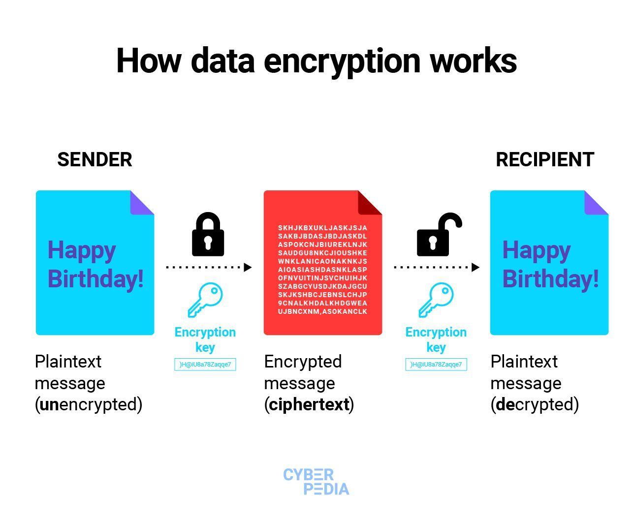 Enhancing Security: The Role of Hosting Software in Data Encryption
