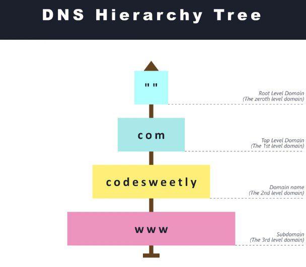 Unlocking DNS: The Backbone of Web Hosting Explained
