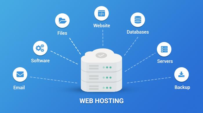 Choosing the Best Hosting Software for Your WordPress Site