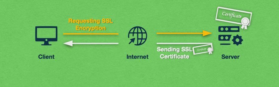 Step-by-Step Guide to Installing SSL on WordPress Hosting