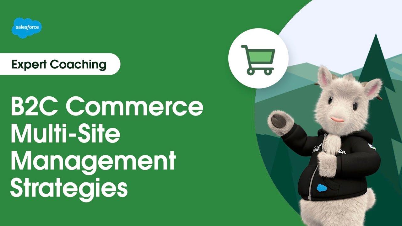 Mastering Multi-Site Management: Host Multiple Websites Effortlessly