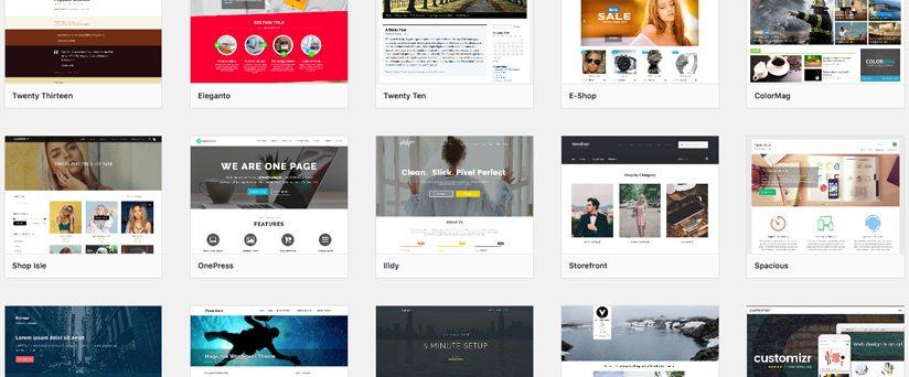 Essential Guide to Selecting the Perfect WordPress Theme