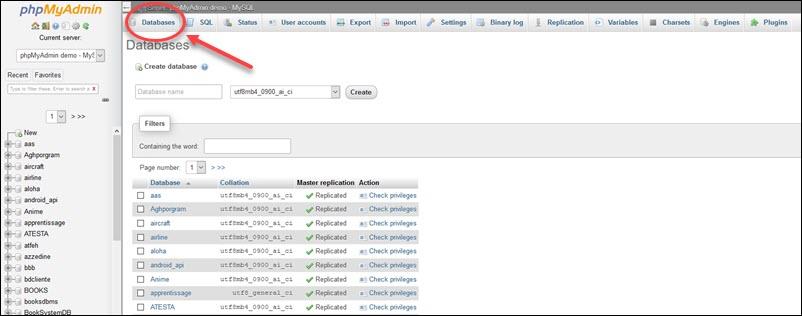 Unlocking Efficiency: MySQL Databases in Shared Hosting