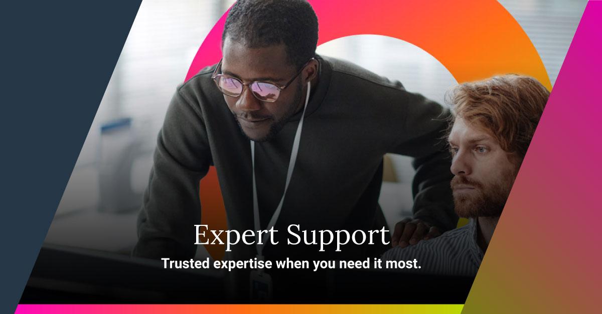 The Vital Role of Expert Support in Managed Hosting Services