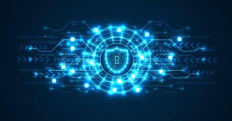 Maximizing Data Security: Hosting Software and Database Backups