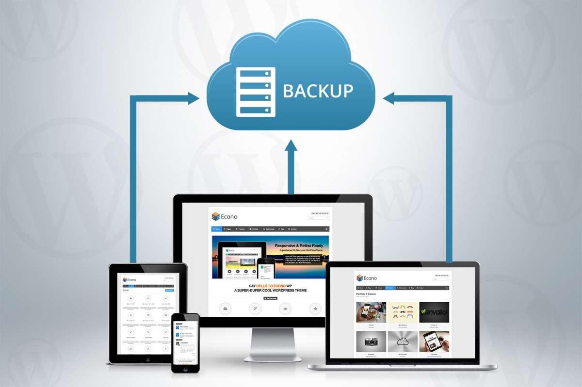 Mastering Website Backups: A Guide to Hosting Software Use